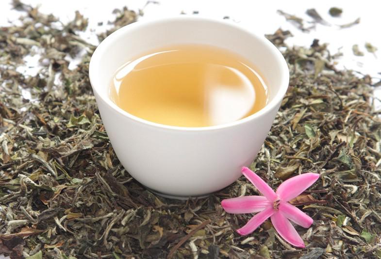 T&eacute; Blanco: Propiedades y Beneficios