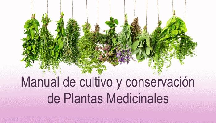 Manual de cultivo de plantas medicinales - InfoAgronomo