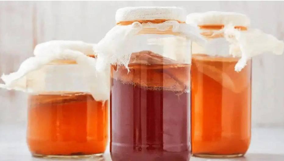 "Ciencia y Kombucha": el primer curso de habla hispana sobre esta bebida fermentada