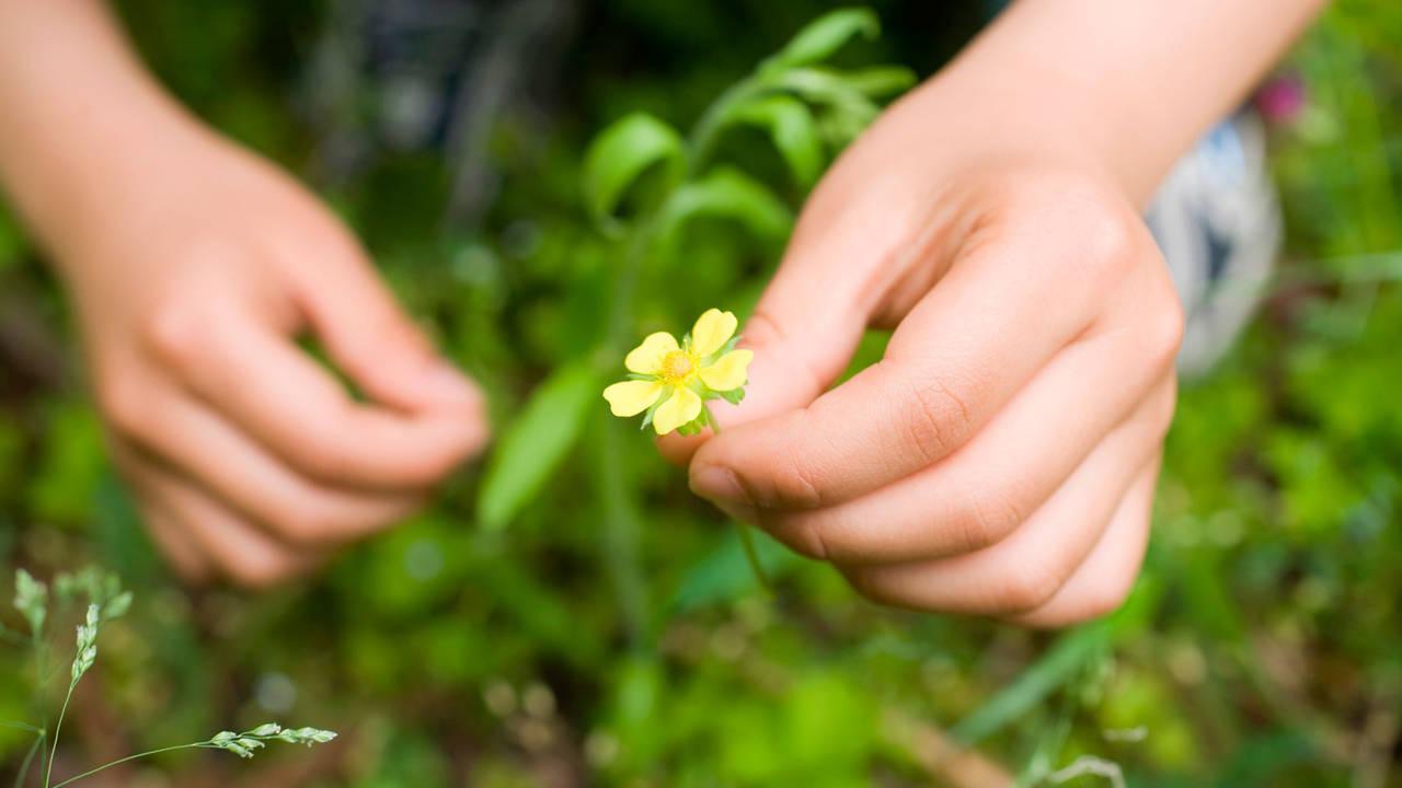 Hormesis: cuando la salud est&aacute; en las peque&ntilde;as dosis