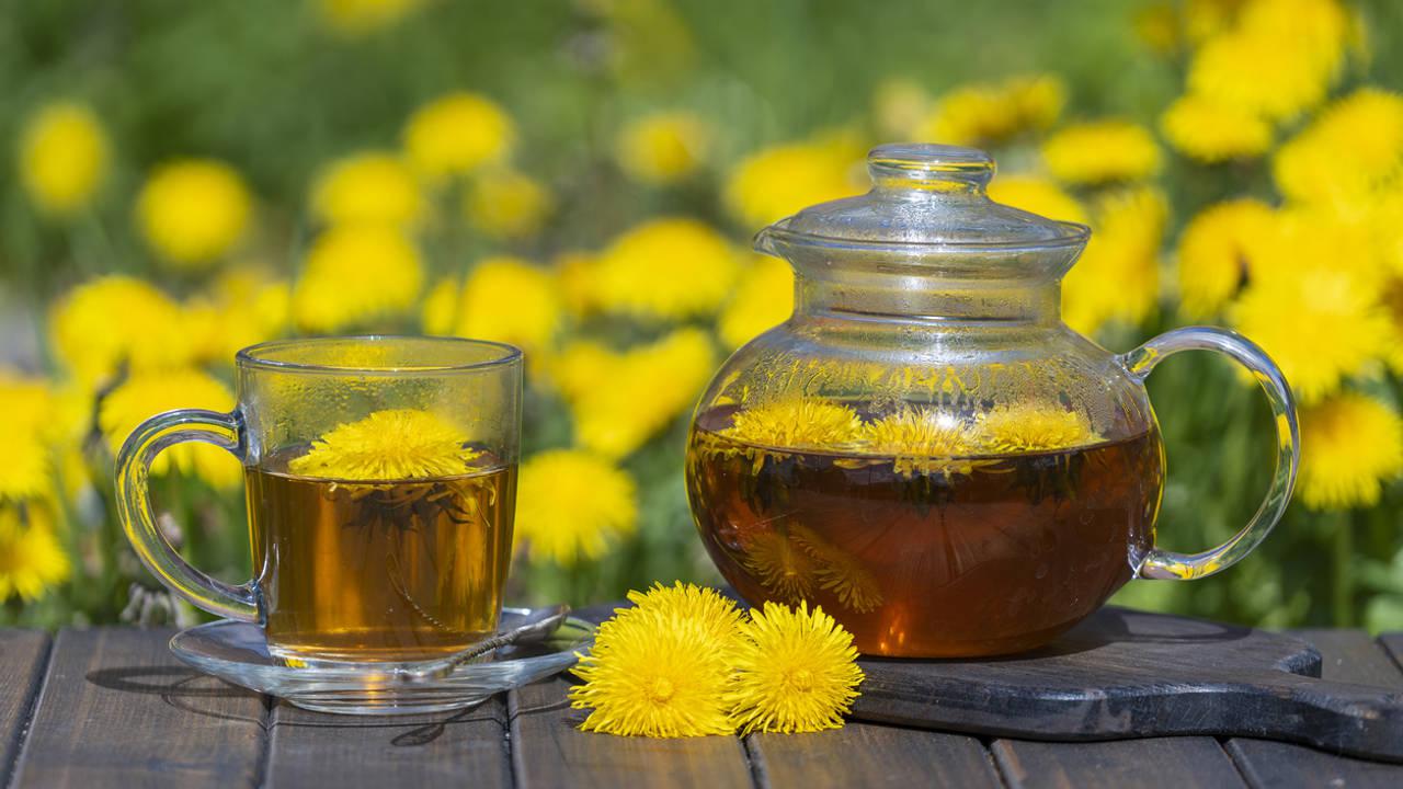 Infusi&oacute;n de diente de le&oacute;n: combinaciones y trucos para aprovechar todos sus beneficios