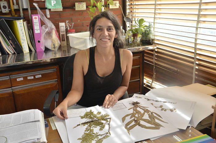 Investigadora argentina logr&oacute; reunir las plantas medicinales utilizadas por los wich&iacute;s y describir sus usos terap&eacute;uticos