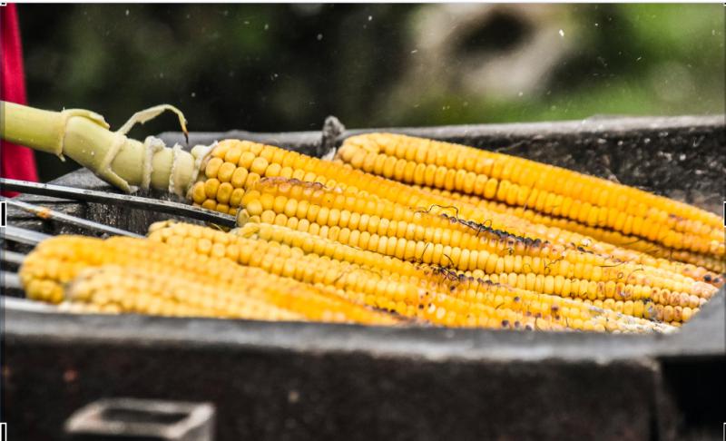  Razones para comer elotes