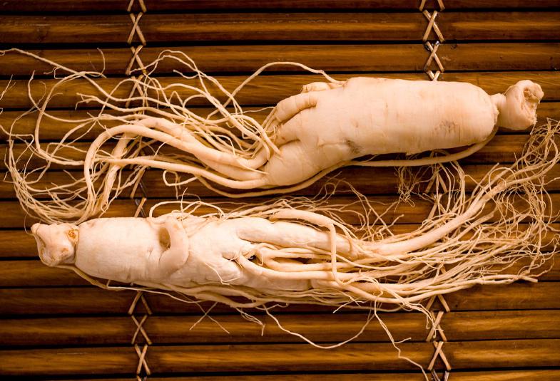 Ginseng Siberiano: propiedades y beneficios