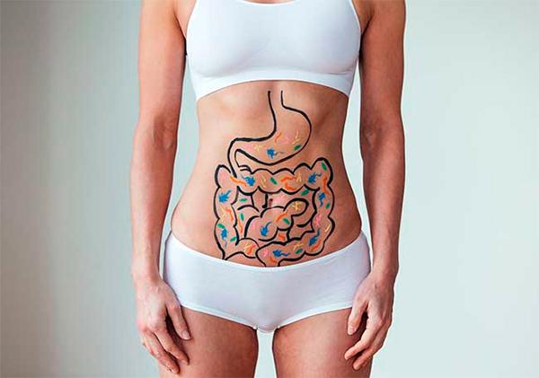 Ecosistema intestinal y salud cerebral, intestinal y hep&aacute;tica