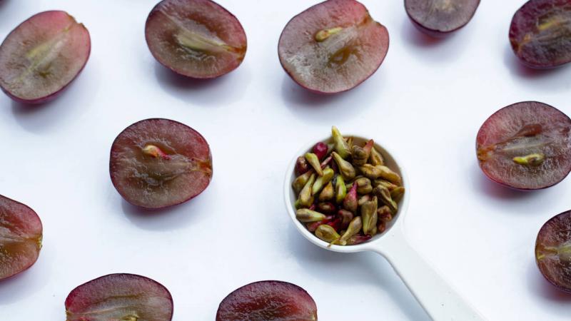 Extracto de semilla de uva OPC: un suplemento contra la presi&oacute;n arterial y el envejecimiento