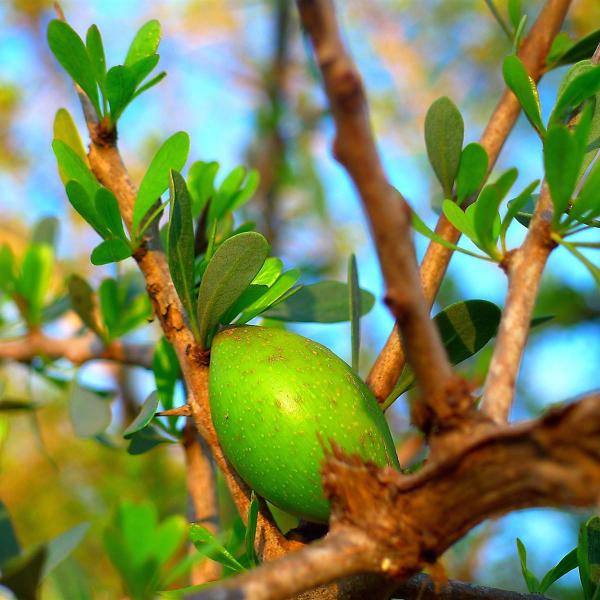 5 productos africanos para la belleza natural