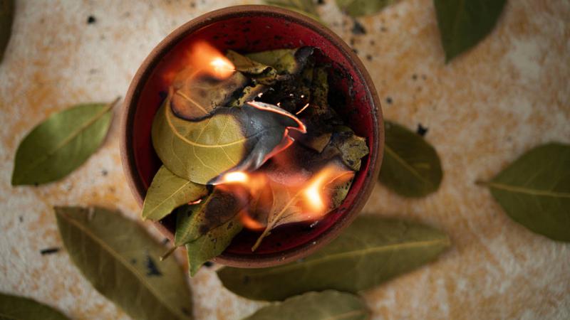 Quemar hojas de laurel para aliviar el estr&eacute;s y otros cinco usos sorprendentes que seguramente no conoces