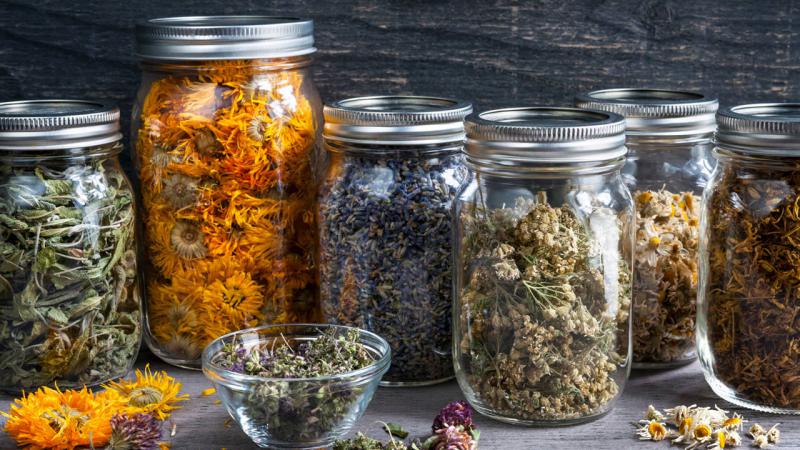 C&oacute;mo conservar las hierbas de infusi&oacute;n para que no pierdan propiedades ni se pudran