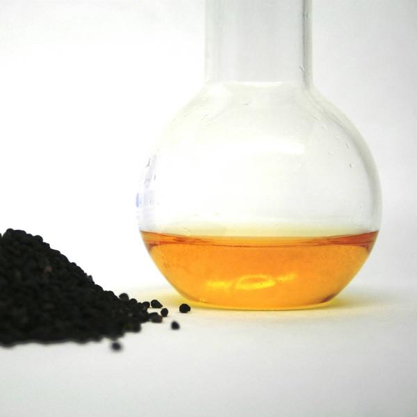 &iquest;Cu&aacute;les son las propiedades del aceite de comino negro?
