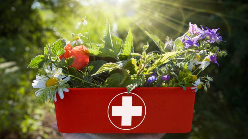 7 remedios caseros de urgencia para tu botiqu&iacute;n de primeros auxilios