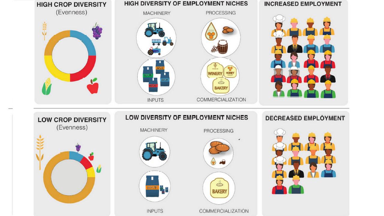 Cient&iacute;ficos rionegrinos demuestran que la diversidad de cultivo genera m&aacute;s empleo