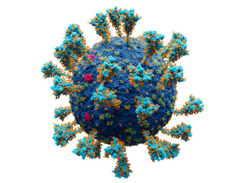 Coronavirus en foco: el coloquio del Balseiro contar&aacute; con una referente internacional en el tema
