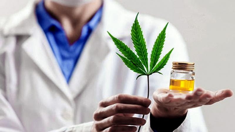 R&iacute;o Negro y el INTA comenzaron un proyecto de cultivo de cannabis medicinal