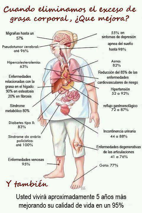 CUANDO ELIMINAMOS EL EXCESO DE GRASA CORPORAL, &iquest;QU&Eacute; MEJORA? 