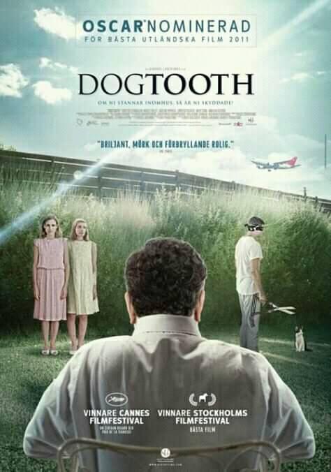 Ciclo El ojo blindado proyecta DOGTOOTH