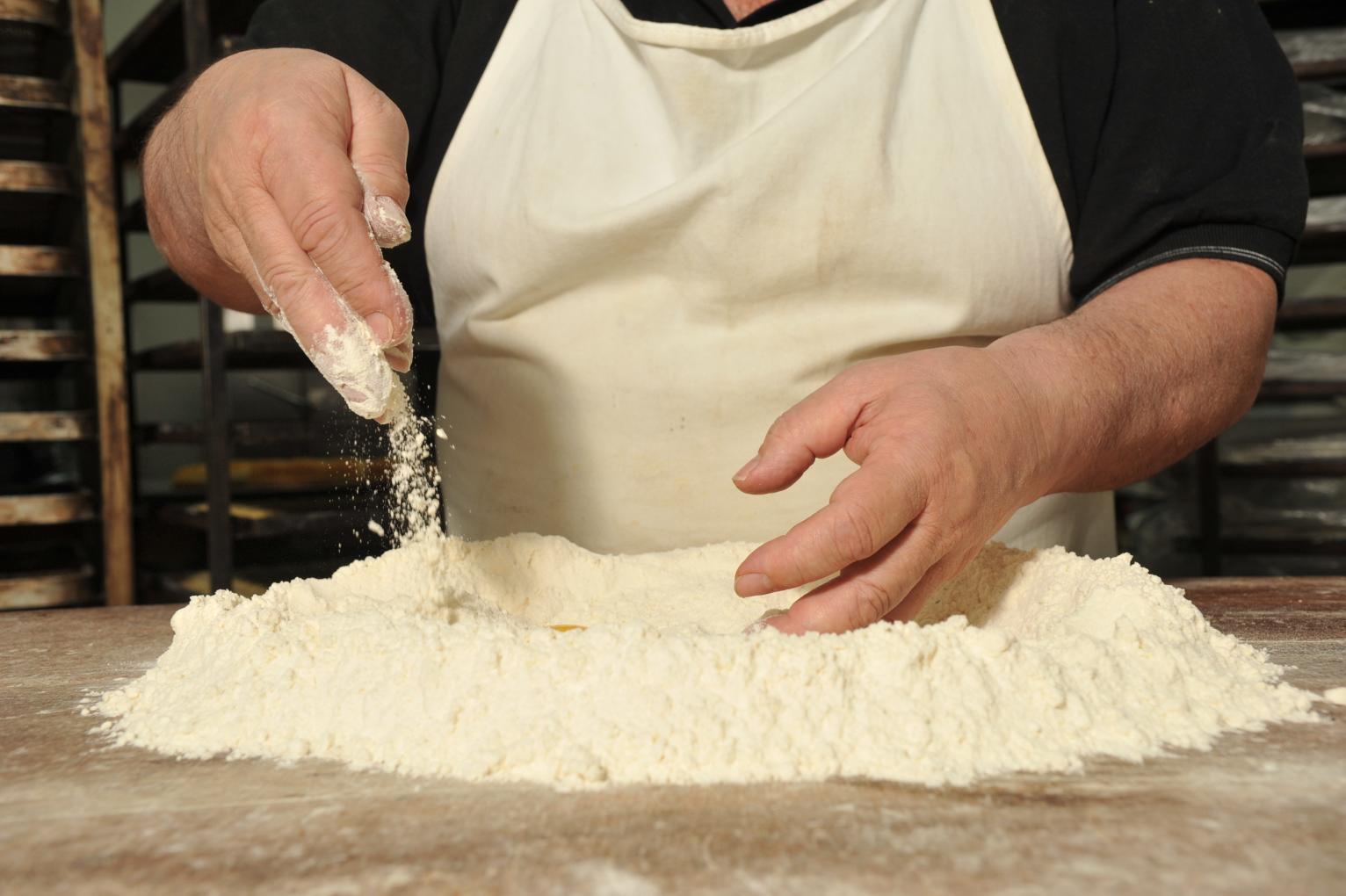 Pensando en Nuevos productos para Deleitarlos en su mesa como Todos los D&iacute;as