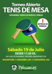 Torneo Abierto de Tenis de Mesa (Ping Pong)