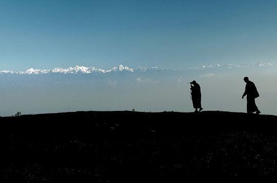 El altruismo promueve la econom&iacute;&shy;a del cuidado - Matthieu Ricard - Peri&oacute;dico del bien com&uacute;n