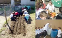 Los guardianes del planeta no tienen mas de 12 a&ntilde;os