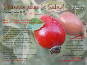 Curso de oto&ntilde;o "Plantas para la Salud"