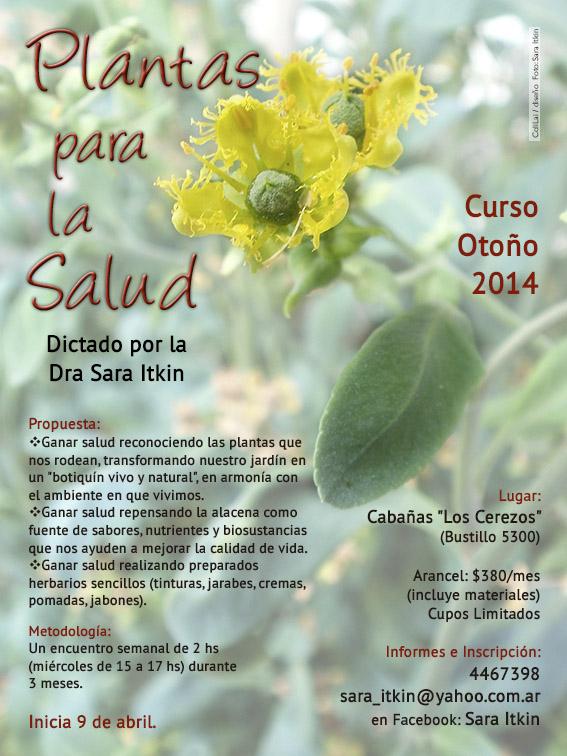 Curso "plantas para la salud" oto&ntilde;o 2014 