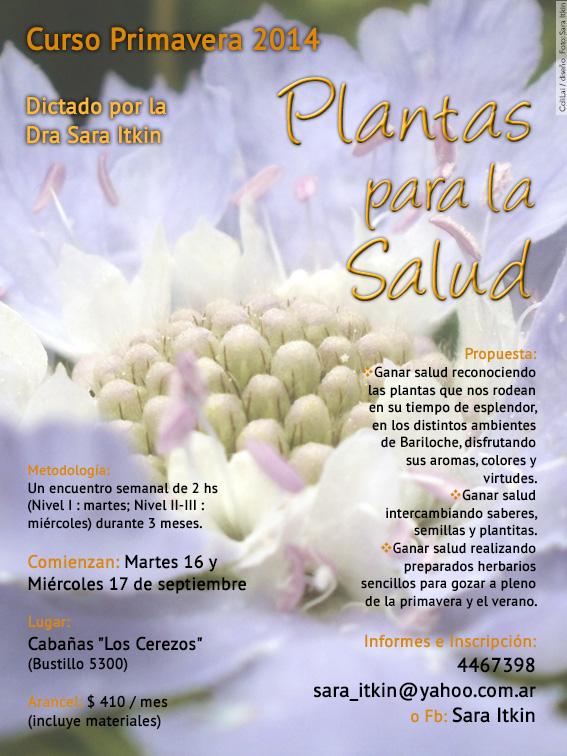 Curso de primavera Plantas para la salud