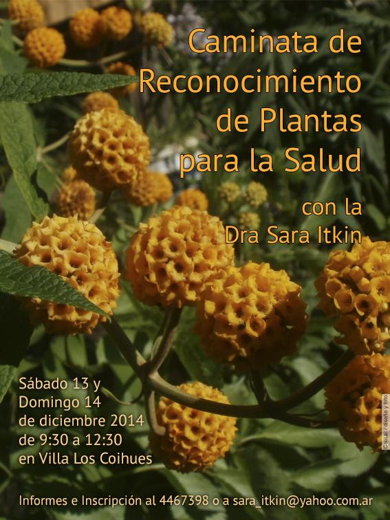 Salida de reconocimiento de Plantas para la Salud