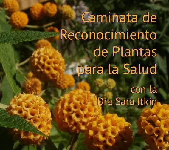 S&aacute;bado 14  "Caminata de reconocimiento de Plantas para la Salud