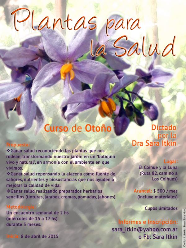 Curso de oto&ntilde;o plantas para la Salud y Cultivando Salud