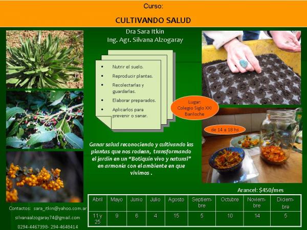 Curso Cultivando Salud