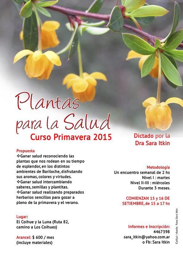 Curso de Primavera "Plantas para la Salud!