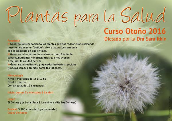 Curso de oto&ntilde;o de Plantas para la Salud