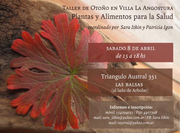 Taller de oto&ntilde;o en Villa La Angostura