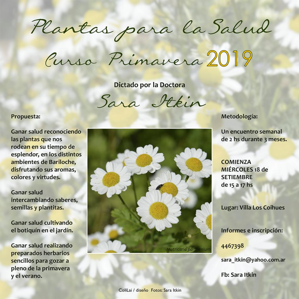 Curso de Primavera de "Plantas para la Salud"