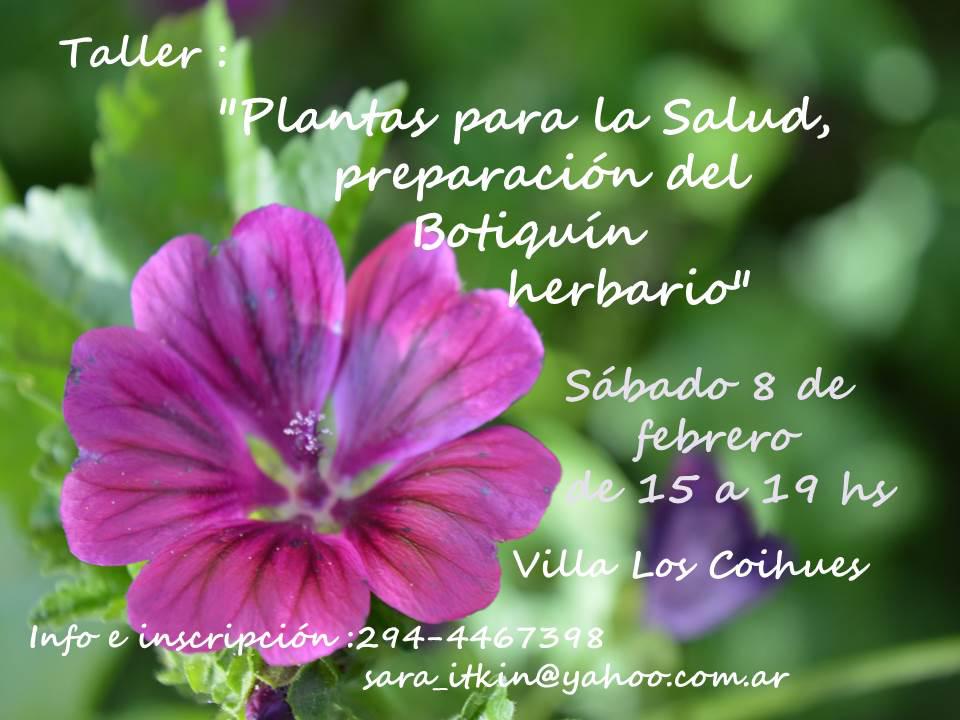 Taller "Plantas para la Salud, preparaci&oacute;n del Botiqu&iacute;n herbario"