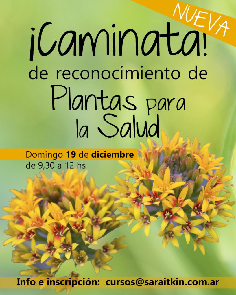 Caminata de reconocimiento de Plantas para la Salud