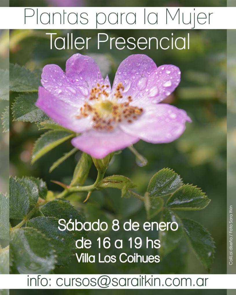 Taller presencial "Plantas para la mujer"