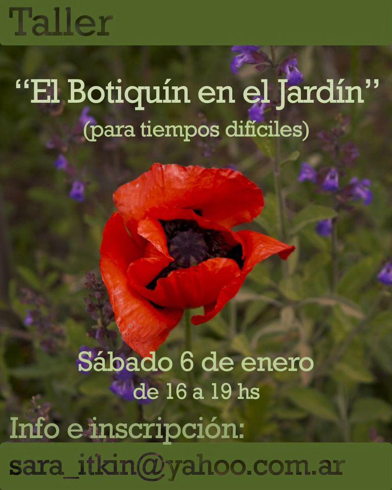 Taller "El Botiqu&iacute;n en el jard&iacute;n ( para tiempos dif&iacute;ciles)"