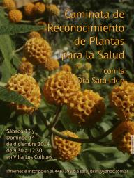 Salida de reconocimiento de Plantas para la Salud