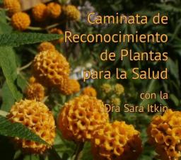 S&aacute;bado 10 Caminata de reconocimiento de Plantas para la Salud