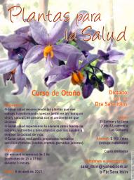 Curso de oto&ntilde;o plantas para la Salud y Cultivando Salud