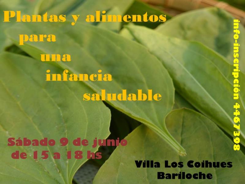 Taller Plantas y alimentos para una infancia saludable