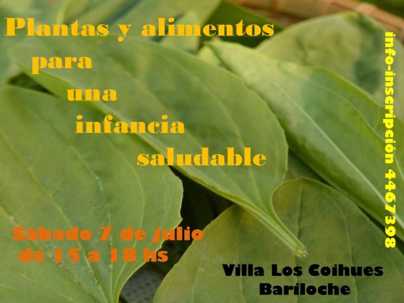 Taller Plantas y alimentos para una infancia saludable