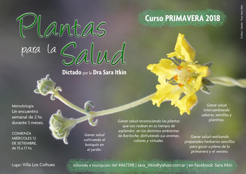 Plantas para la Salud-Curso de primavera