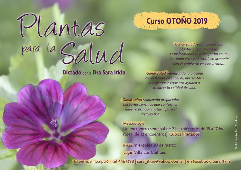 Curso de oto&ntilde;o de Plantas para la Salud