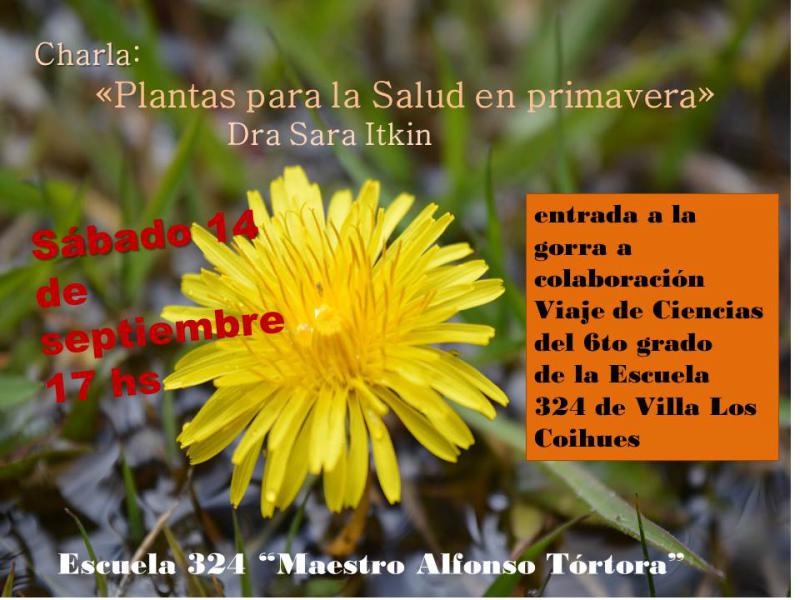 Charla Plantas para la Salud en Primavera a beneficio del 6to grado Escuela 324