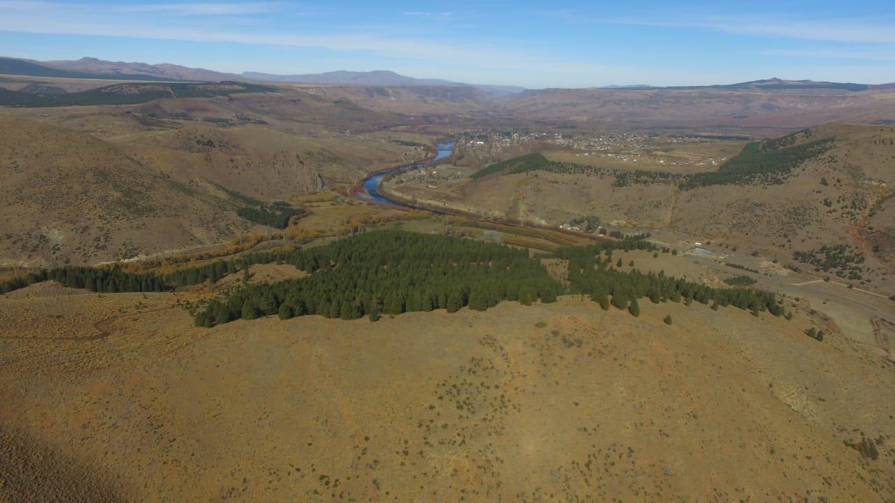 Campo Alumin&eacute;, Neuqu&eacute;n