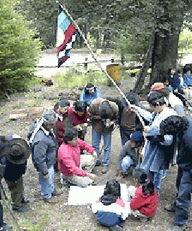 Estudio revela posesi&oacute;n ancestral de las comunidades Paichil Antriao y Quintriqueo