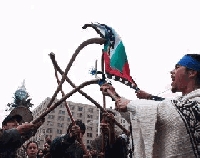 Sin movilizaci&oacute;n ninguna iniciativa por la libertad de los presos MapuChe tendr&aacute; &eacute;xito